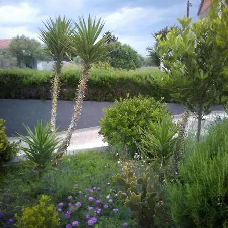Fuzi - 50 M From Sea Apartment *