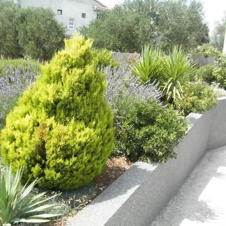 Apartment Fuzi - 50 M From Sea